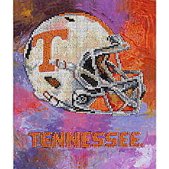 Cincinnati Bengals - 5D Diamond Painting 