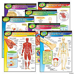 TREND The Human Body Learning Charts Combo Pack, Set of 7