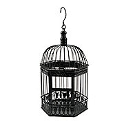 Black Birdcage