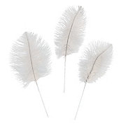 Black Ostrich Feathers (24 Piece(s))