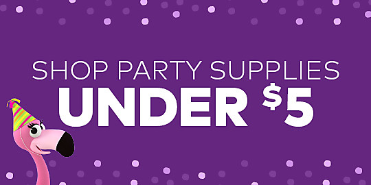 Shop Party Supplies Under $5