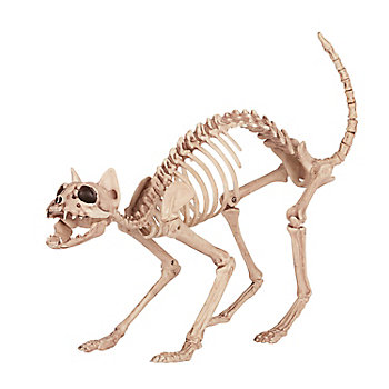 18" Skeleton Cat