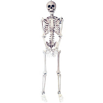 5 Ft. Skeleton Pose & Hold Plastic Halloween Decoration