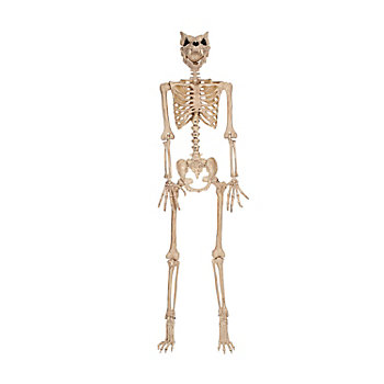 5 Ft. Werewolf Skeleton Halloween Decoration
