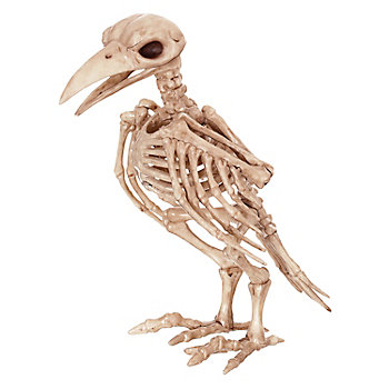 6.5" Raven Skeleton Decoration
