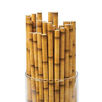 7 3/4" Bamboo-Themed Paper Straws - 24 Pc.
