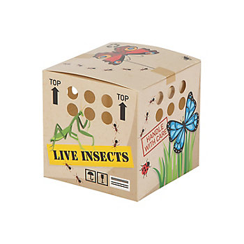 Backyard Adventure Favor Boxes - 12 Pc.