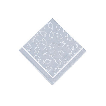 Bulk 50 Pc. Silver Graduation Beverage Napkins