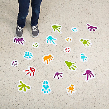 Classroom Pets Footprints Floor Clings