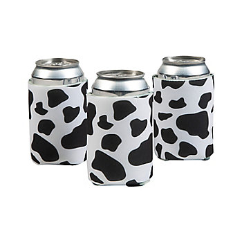 Disco Cowgirl Party Supplies | Oriental Trading