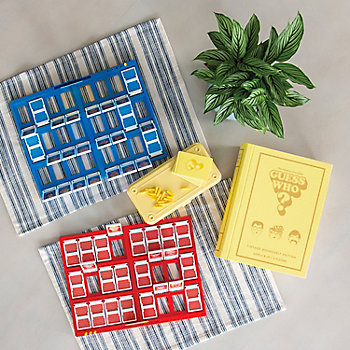 Guess Who? Vintage Bookshelf Edition