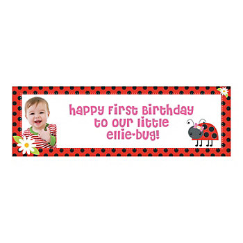 Ladybug Party Photo Custom Banner