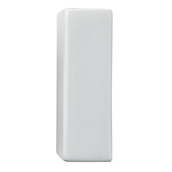 Paint Your Own Porcelain Letter  I