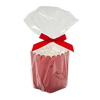 Red Treat Box Kit for 48