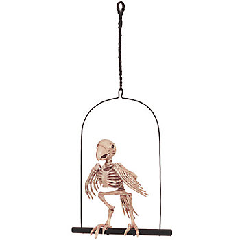 Skeleton Parrot on a Perch Halloween Decoration