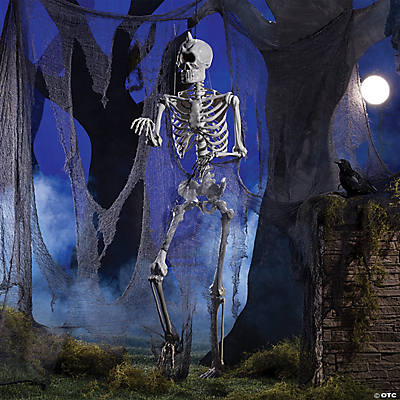 5 ft Life-Size Posable Skeleton Halloween Decoration