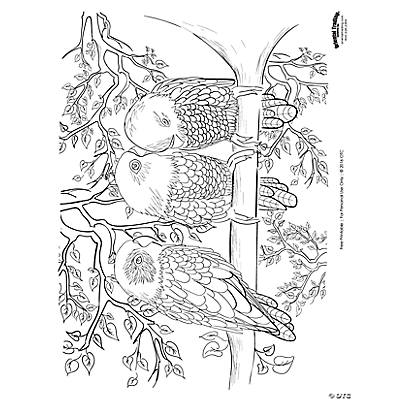 bird scene adult coloring page free printable  oriental