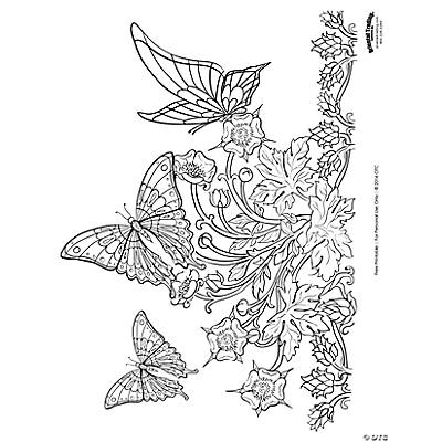 butterfly adult coloring page free printable  oriental