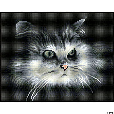 Diamond Dotz Square Diamond Facet Art Kit 9.8X12.6-Shadow Cat