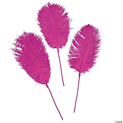 Hot Pink Ostrich Feathers