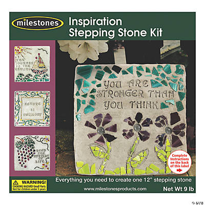 Midwest Products Mosaic Frog Stepping Stone Kit