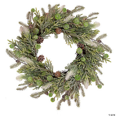 Vickerman 30 Frosted Japanese White Pine Artificial Christmas Wreath,  Unlit