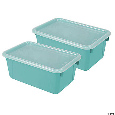 https://s7.orientaltrading.com/is/image/OrientalTrading/VIEWER_IMAGE_400/storex-small-cubby-bin-with-cover-classroom-teal-pack-of-2~14272721