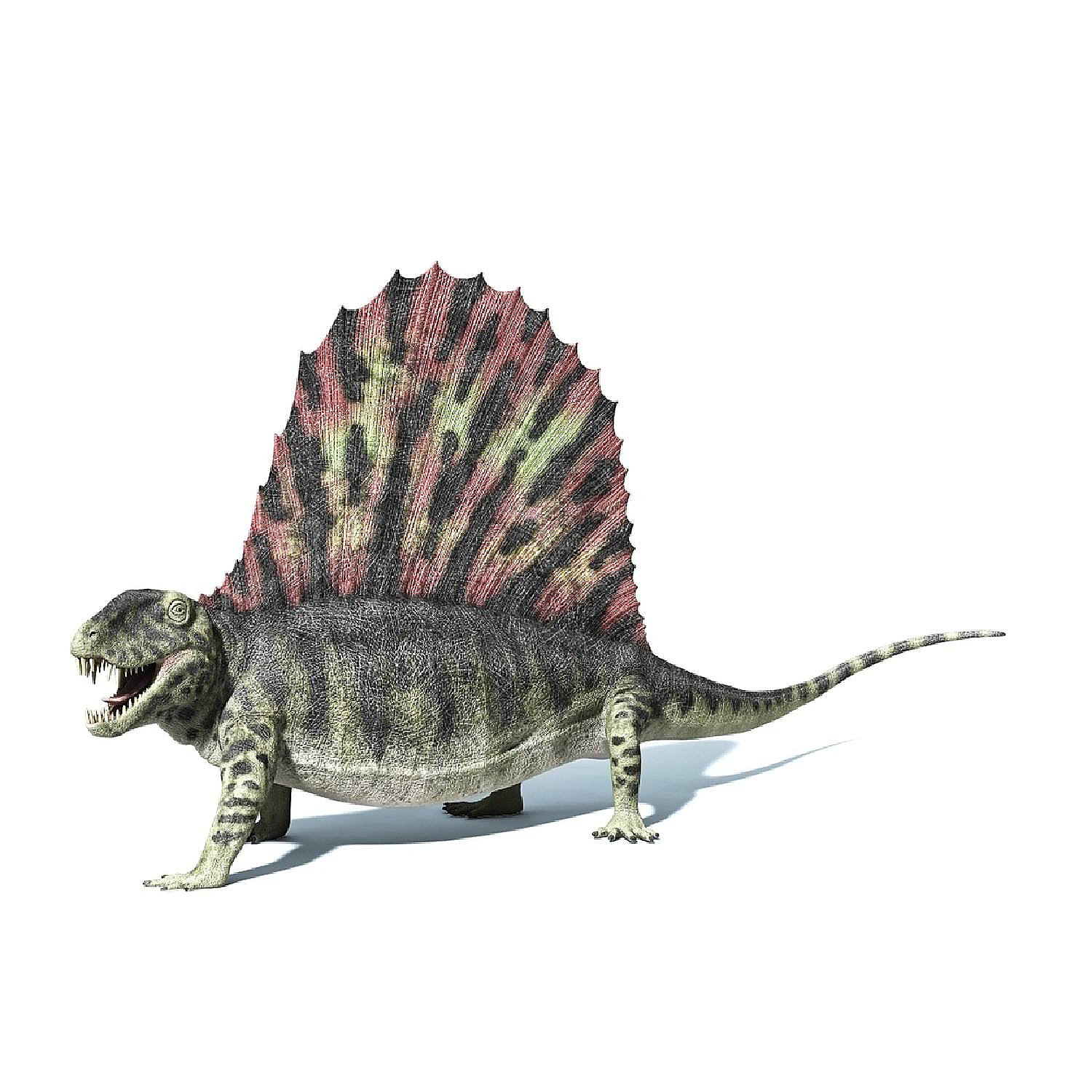 3D rendering of a Dimetrodon dinosaur Poster Print 16 x 12 Oriental