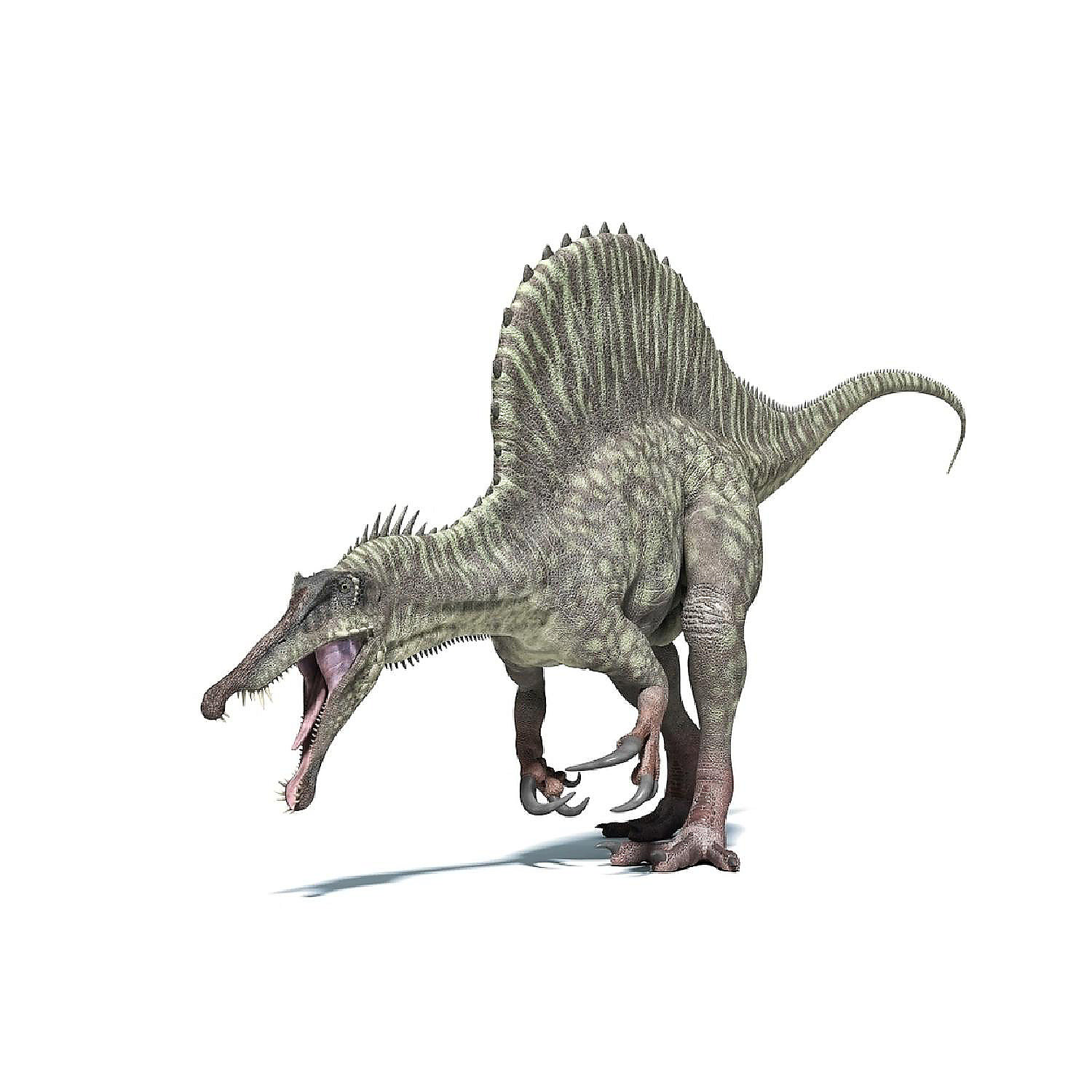 3D rendering of a Spinosaurus dinosaur Poster Print 16 x 12 Oriental