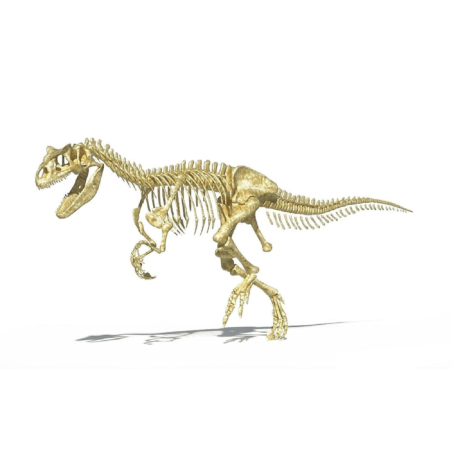 3D rendering of an Allosaurus dinosaur skeleton Poster Print 35 x 22