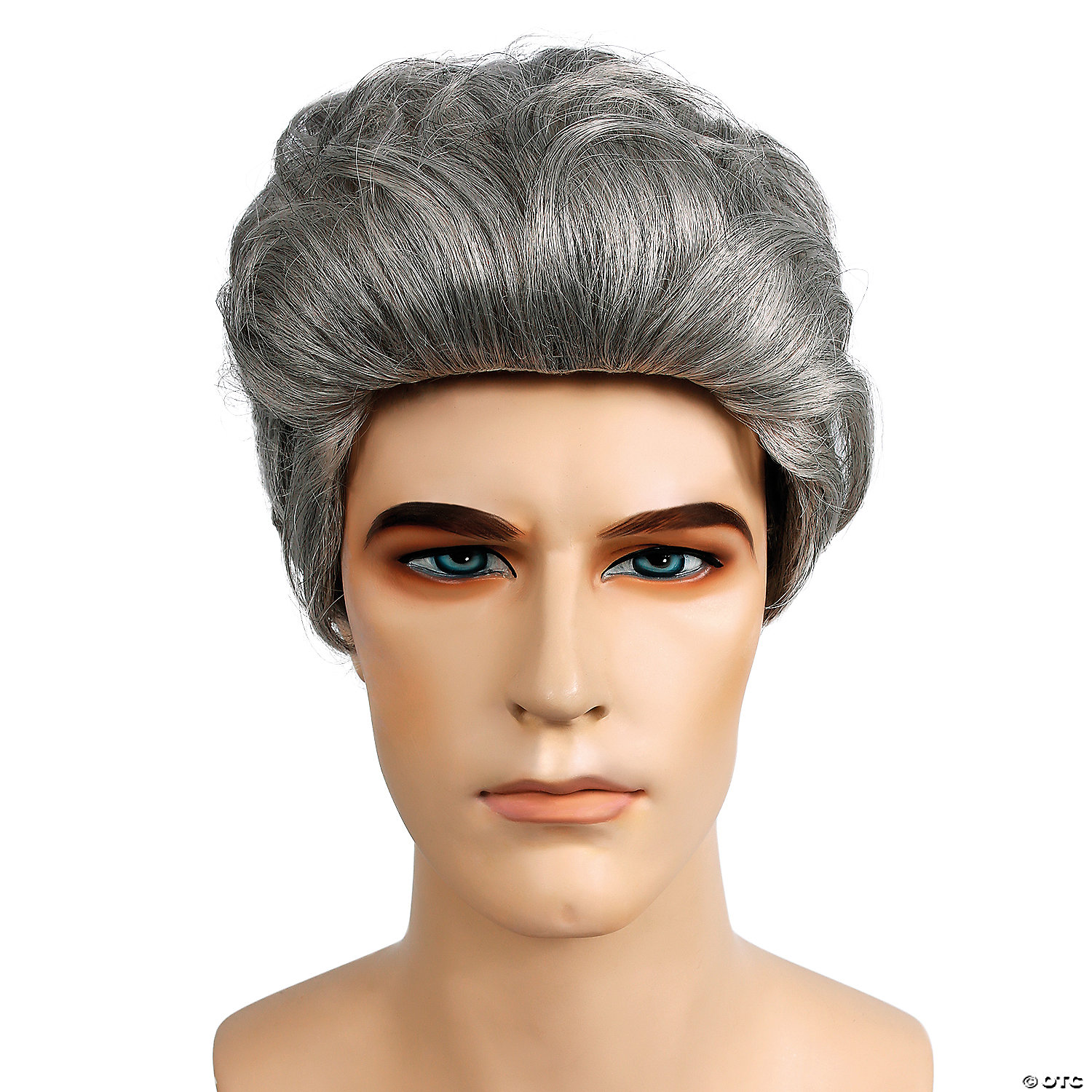 Adults Brown Gray Bill Clinton Wig