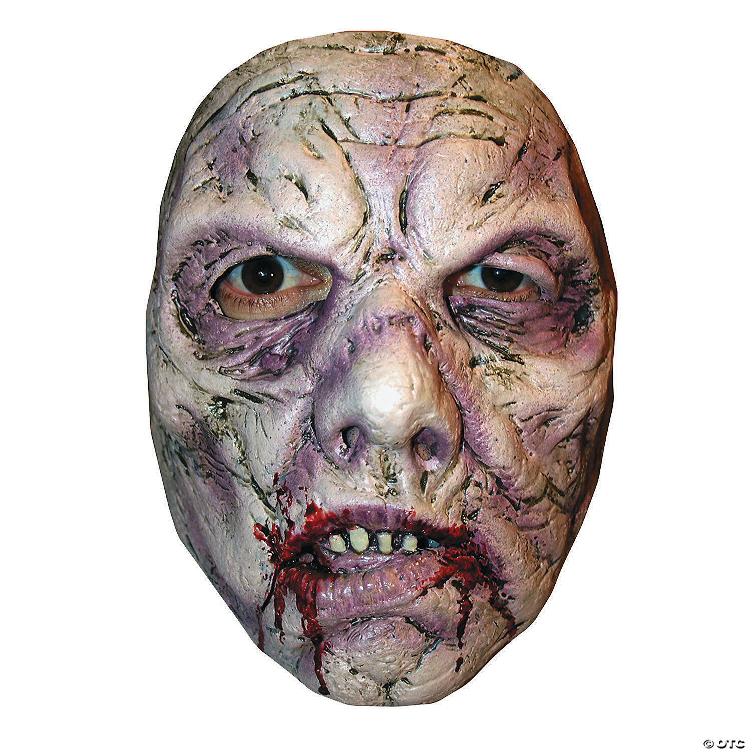 Bijproduct Bijwerken Omgeving Adult's Bruce Spaulding Zombie 1 Mask | Oriental Trading