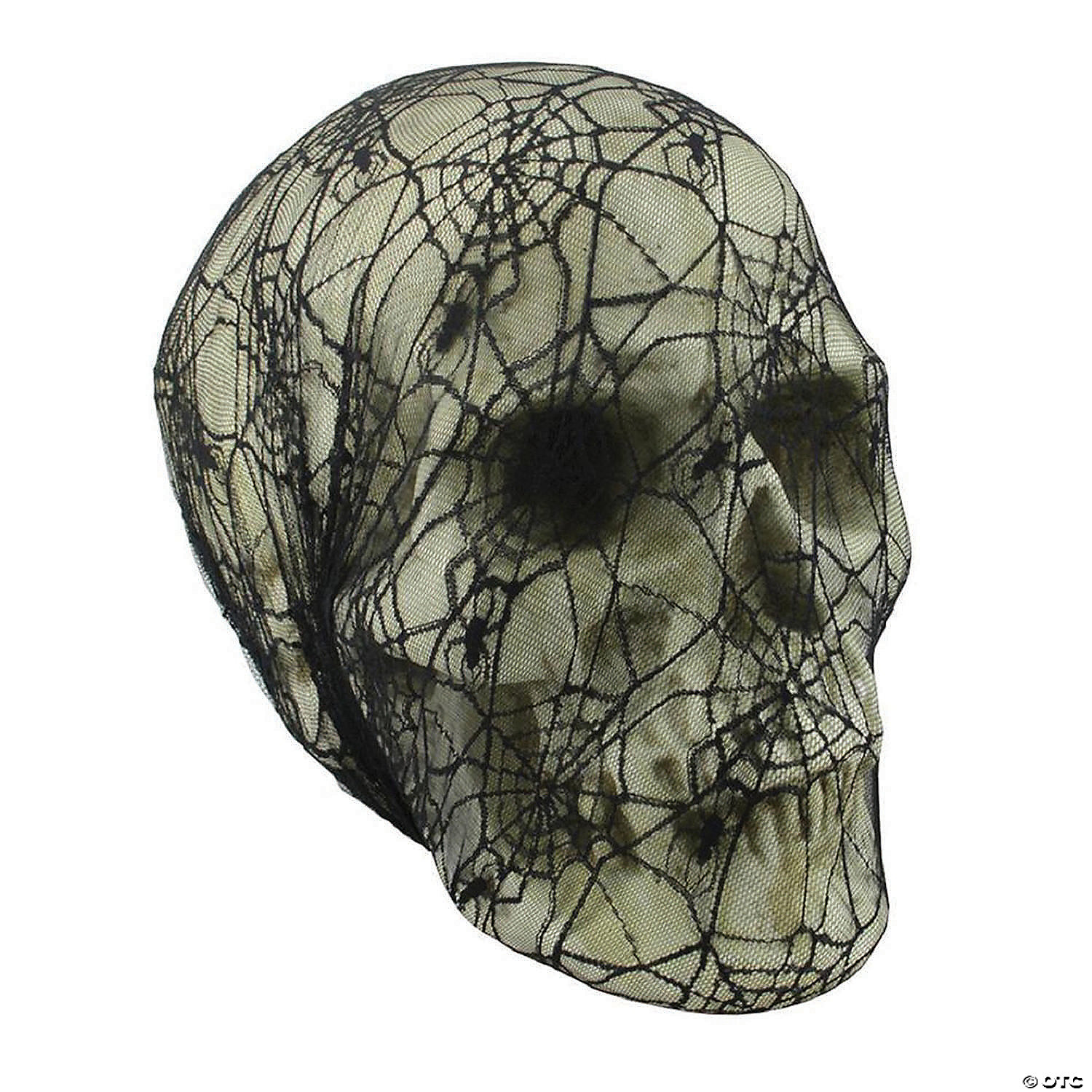 spider web and skull drawings