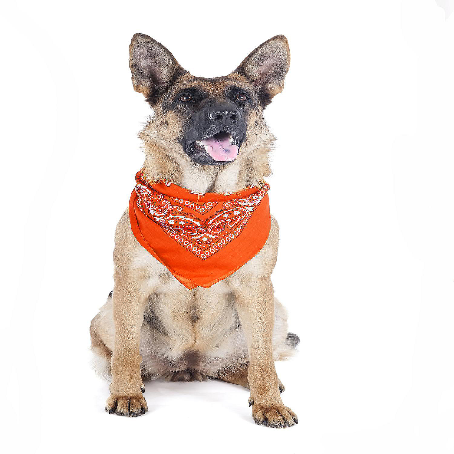 Balec Paisley Polyester Pets 6 Pack Dogs Bandana Triangle Shape ...