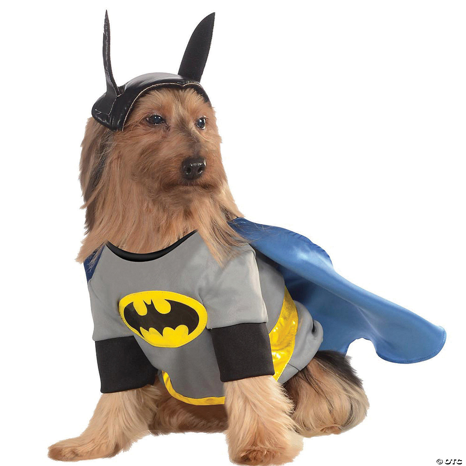 Batman Dog Costume | Oriental Trading