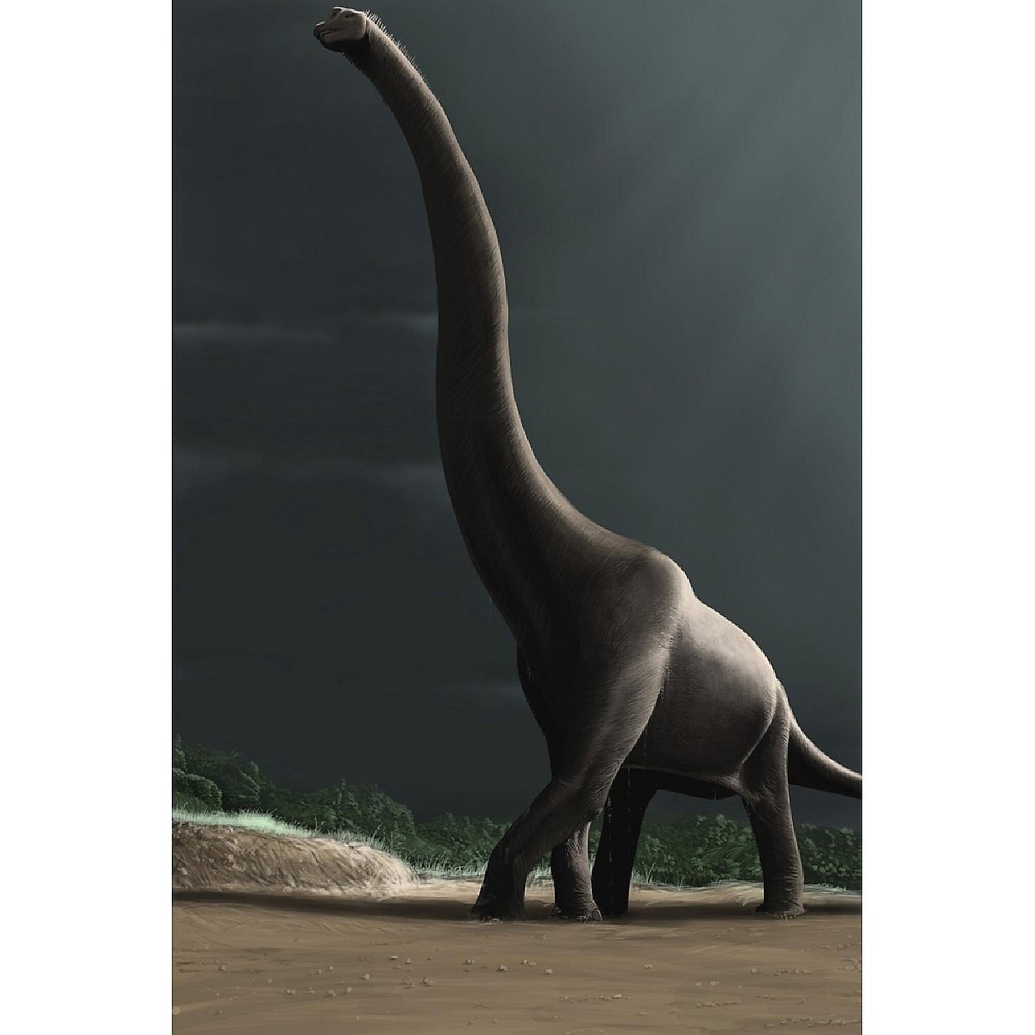 Brachiosaurus in a prehistoric landscape Poster Print 23 x 34