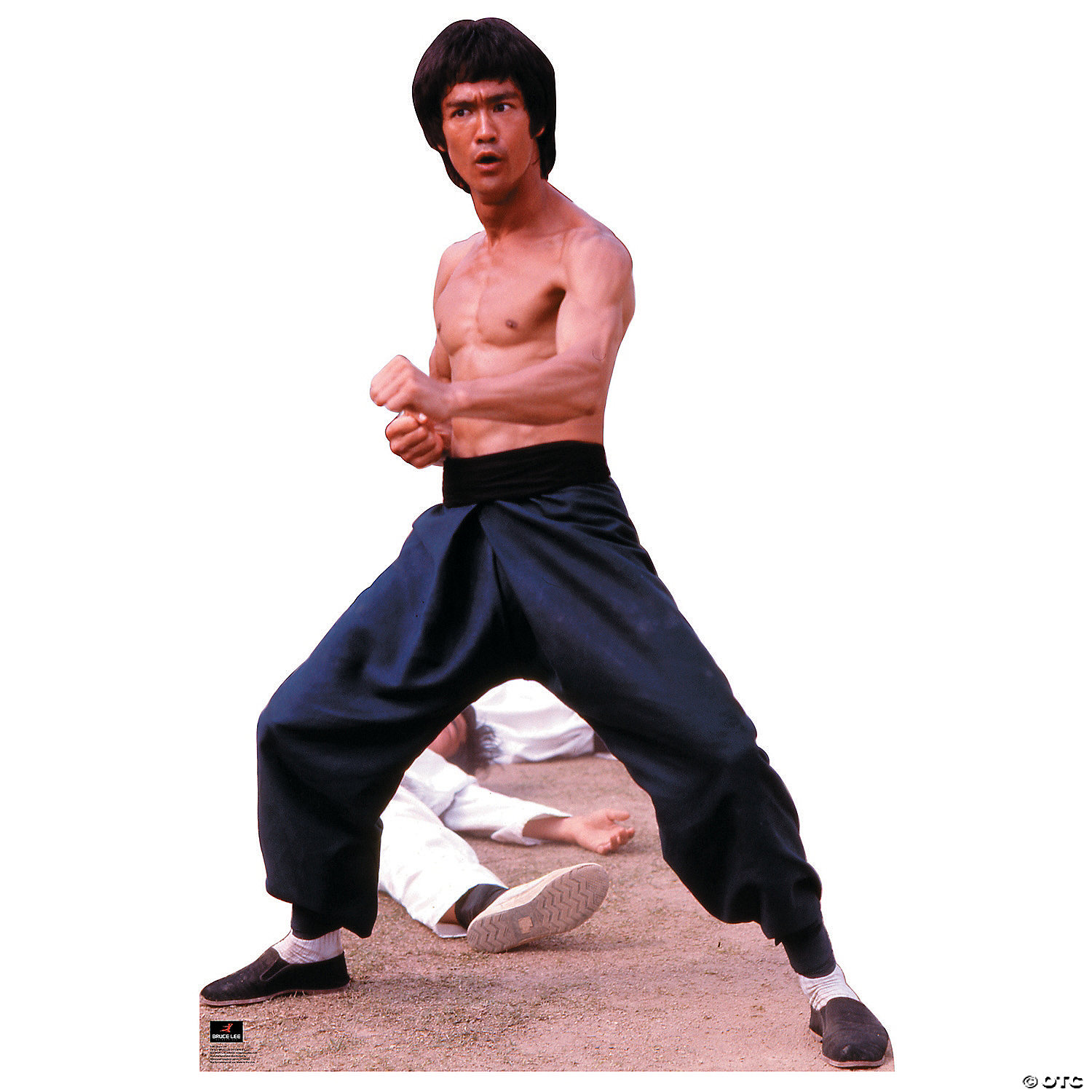 Bruce Lee - Fight Stance Cardboard Stand-Up | Oriental Trading
