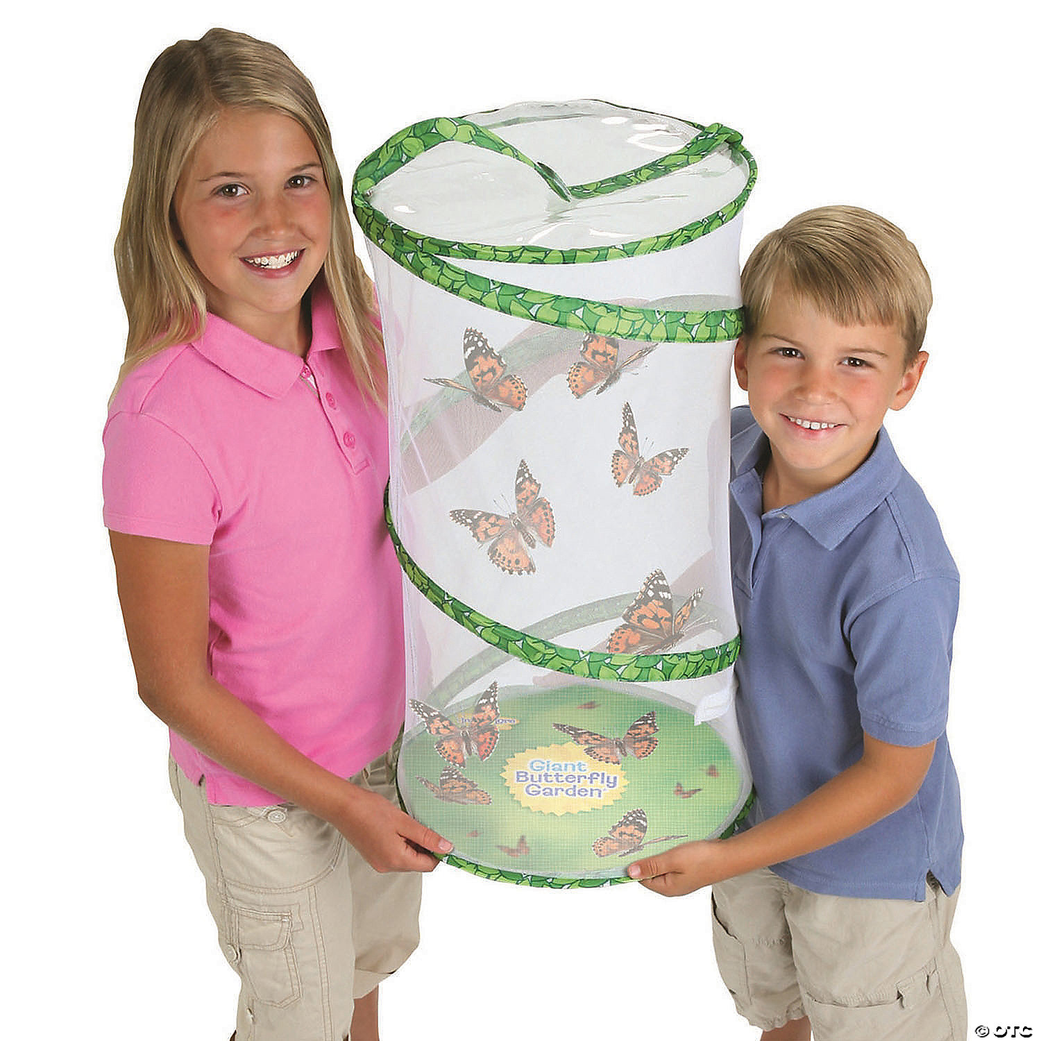 Butterfly Garden Grow Your Own Butterflies Educational Kit For Kids Boy Girl 