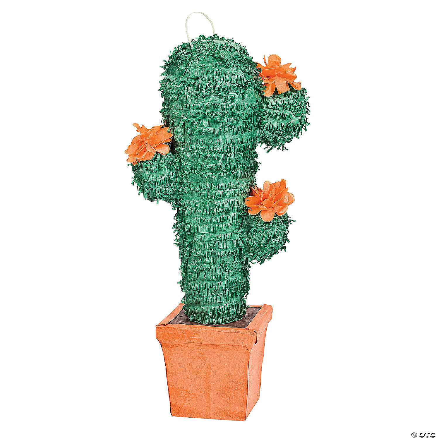 Cactus Pinata for all your Fiesta celebrations