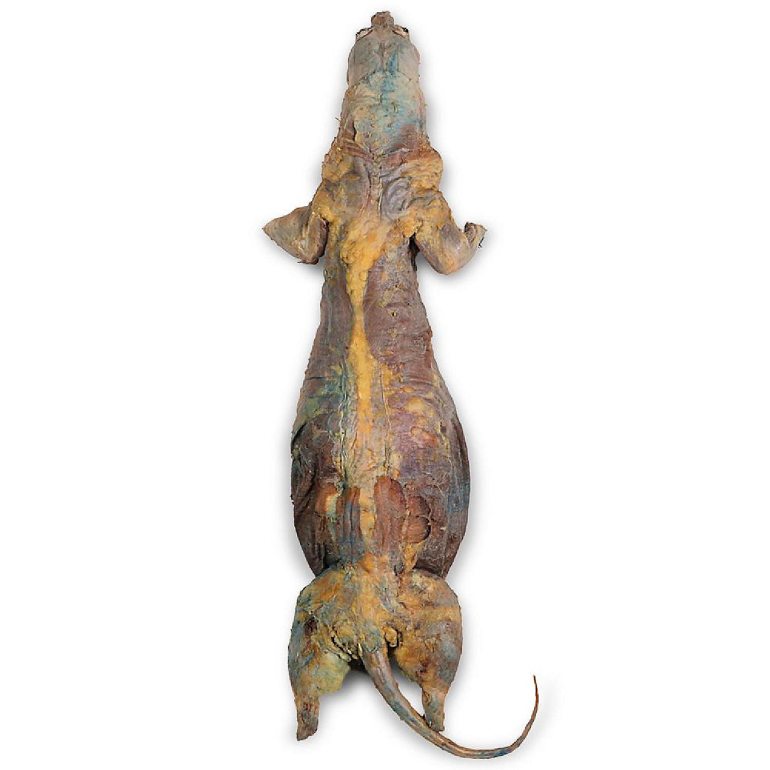 Carolina's Perfect Solution Mink, 15", Plain