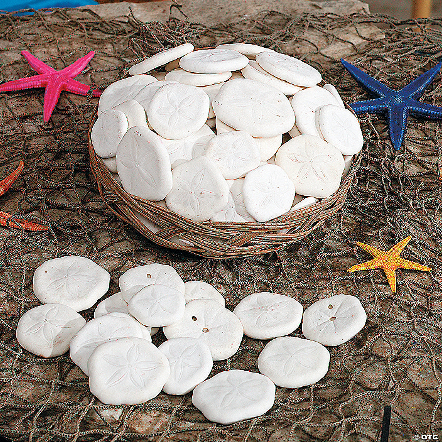 Details about   Set of 3 Sand Dollars Size 3" plus 