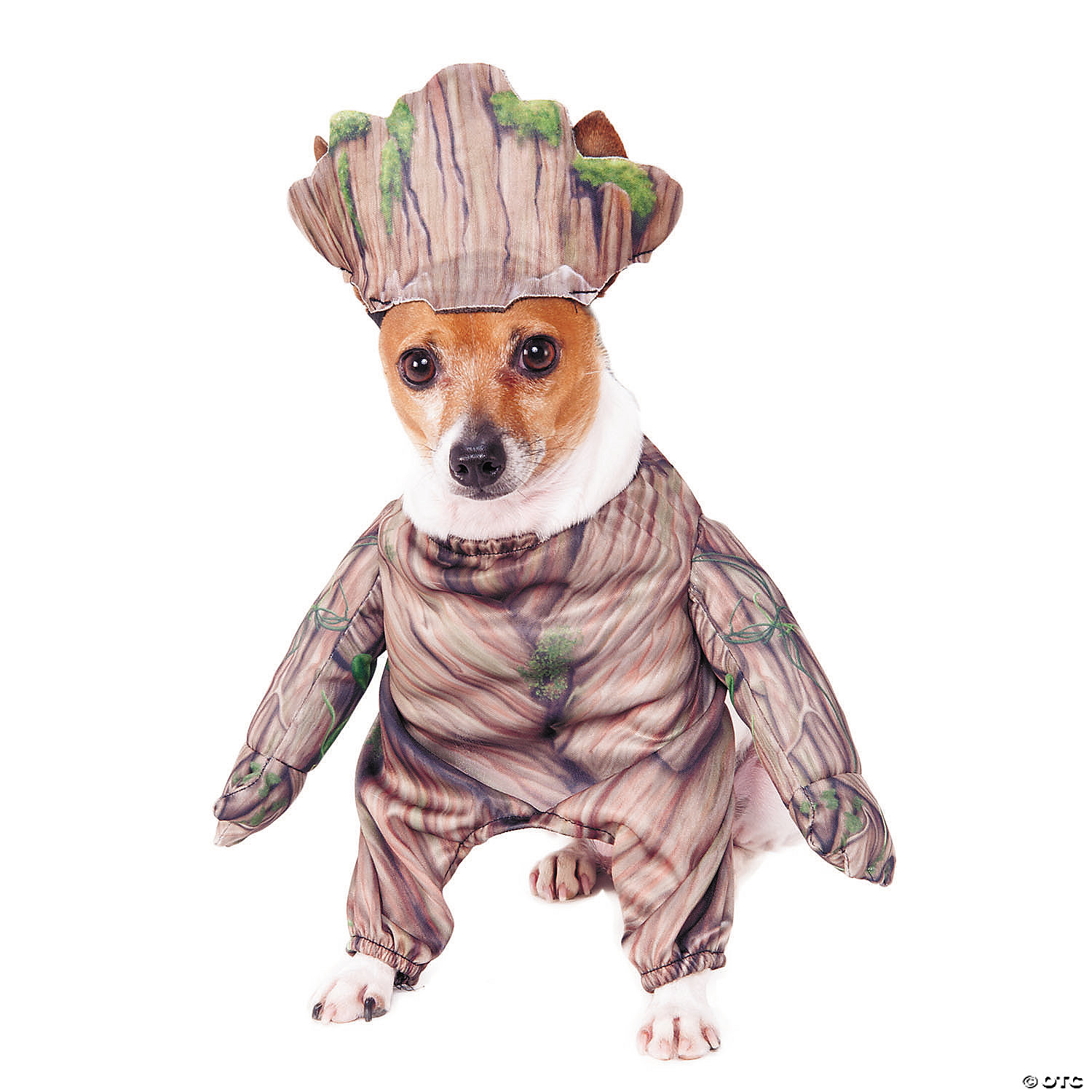 Groot hotsell dog toy