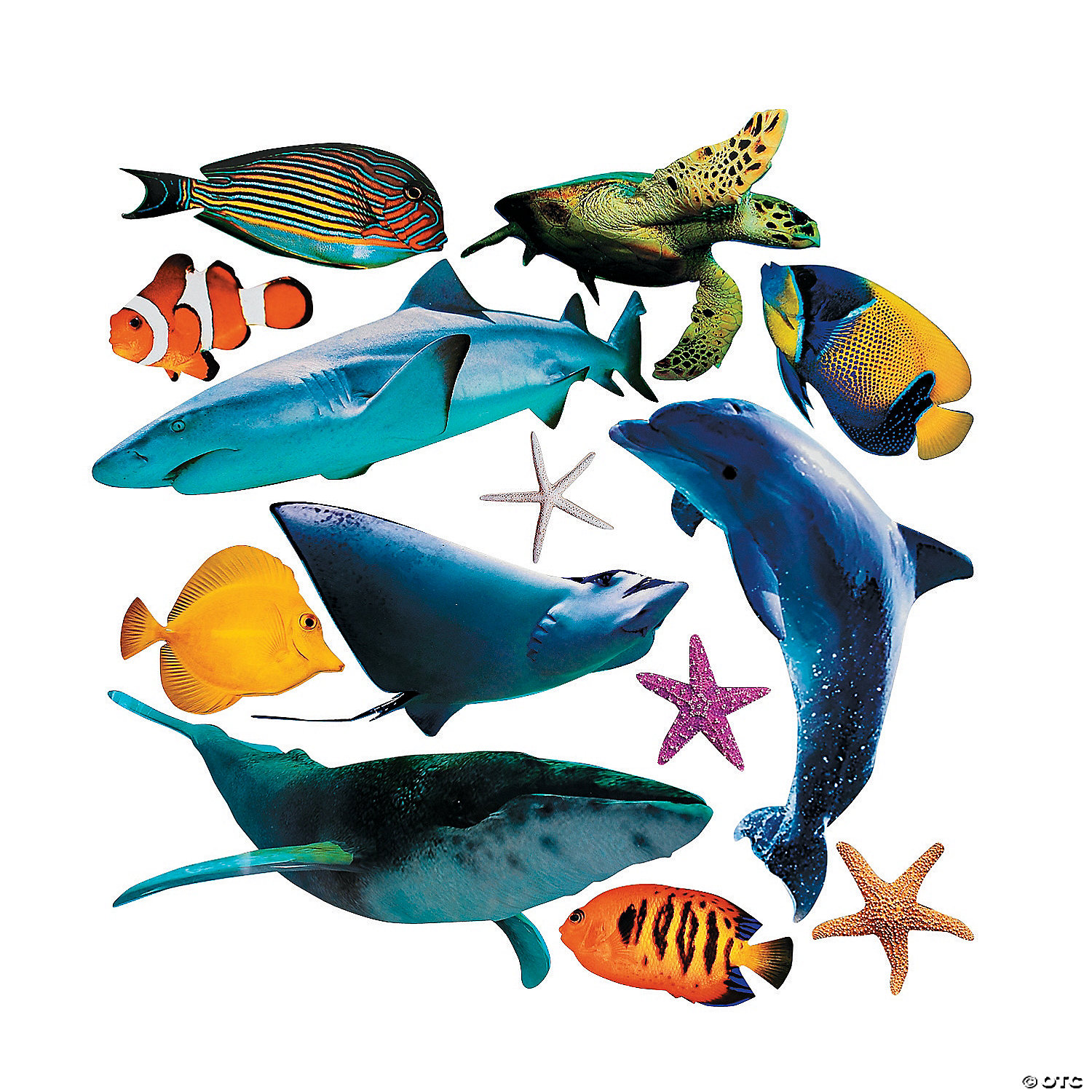 Jumbo Realistic Sea Life Cutouts - 13 Pc. | Oriental Trading