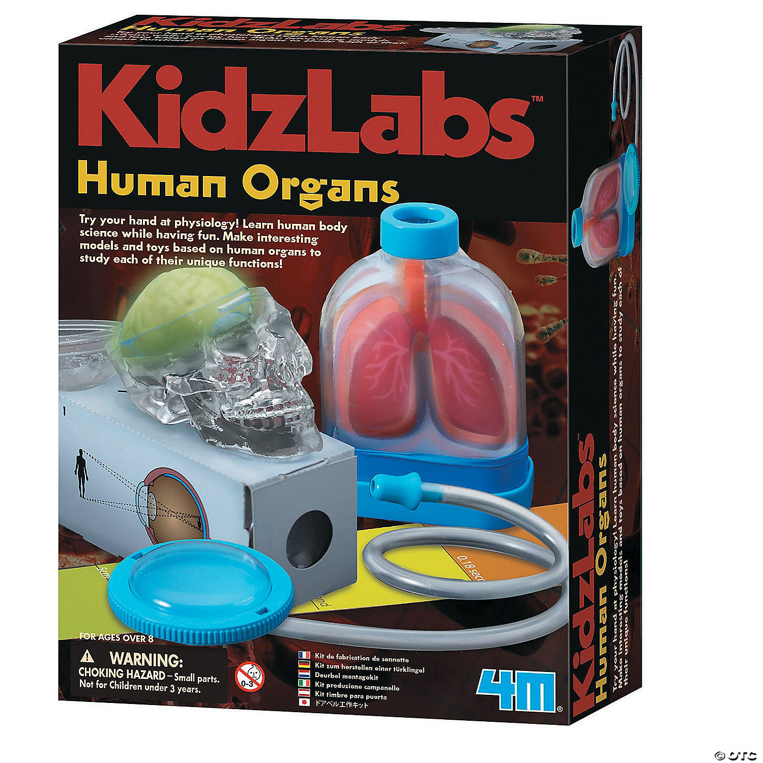 kidzlabs