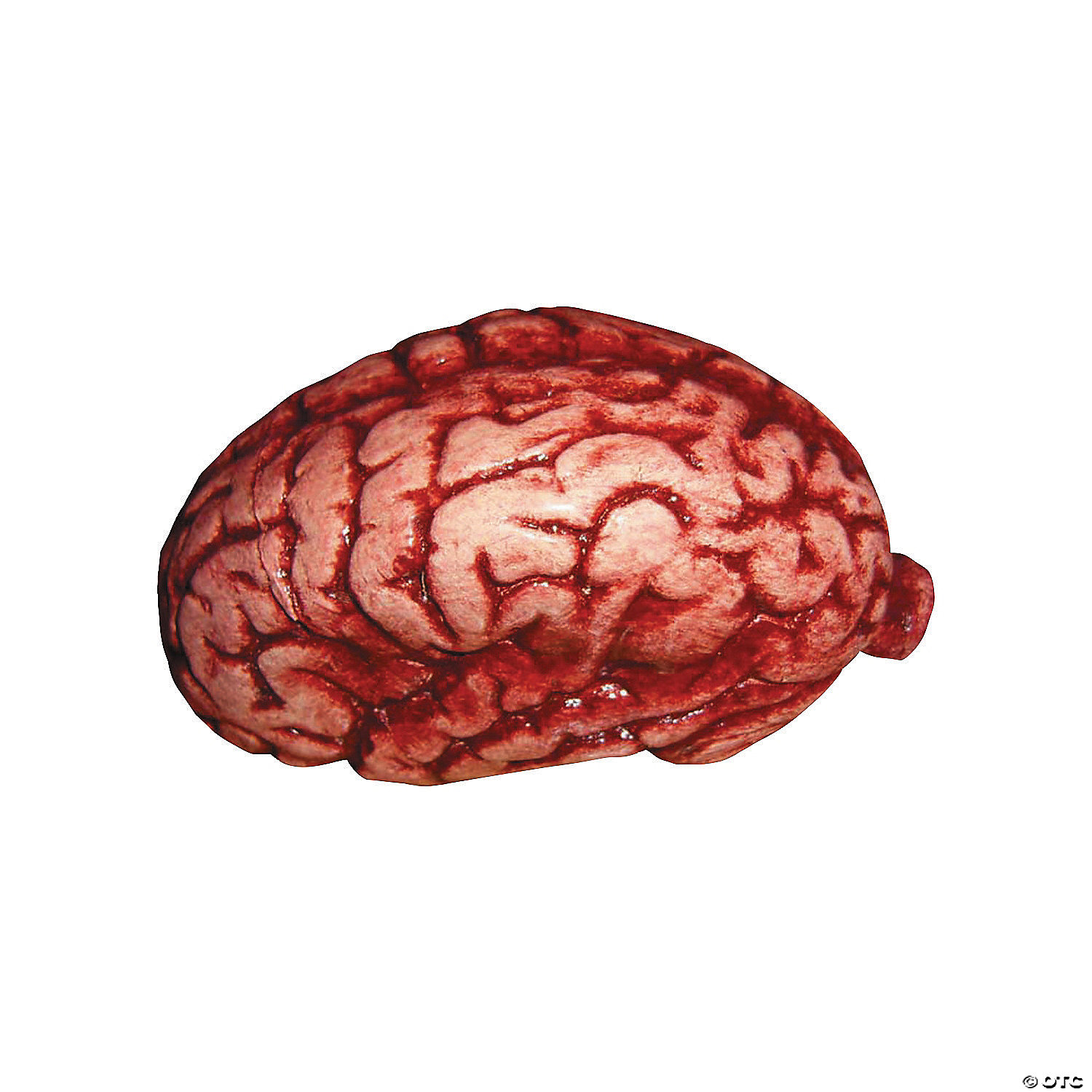Deko angefressenes Gehirn Brain Latex 17 cm Horror Zombie Halloween 