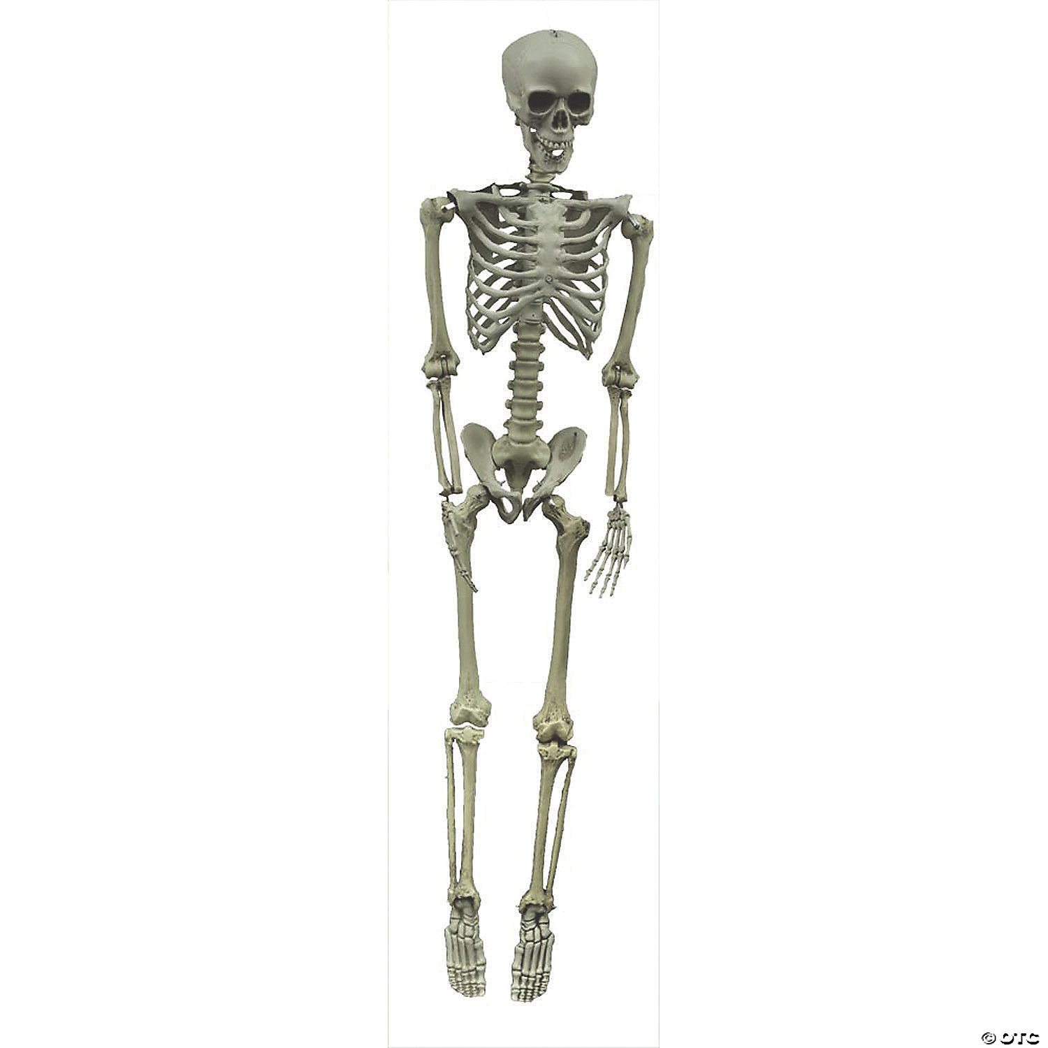 Life Size Hanging Skeleton Halloween Decoration