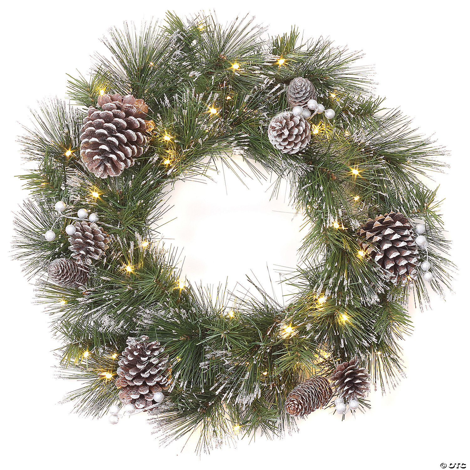 Uitwisseling Matron Plantage National Tree Company 24 in. Whitter Pine Wreath with LED Lights | Oriental  Trading
