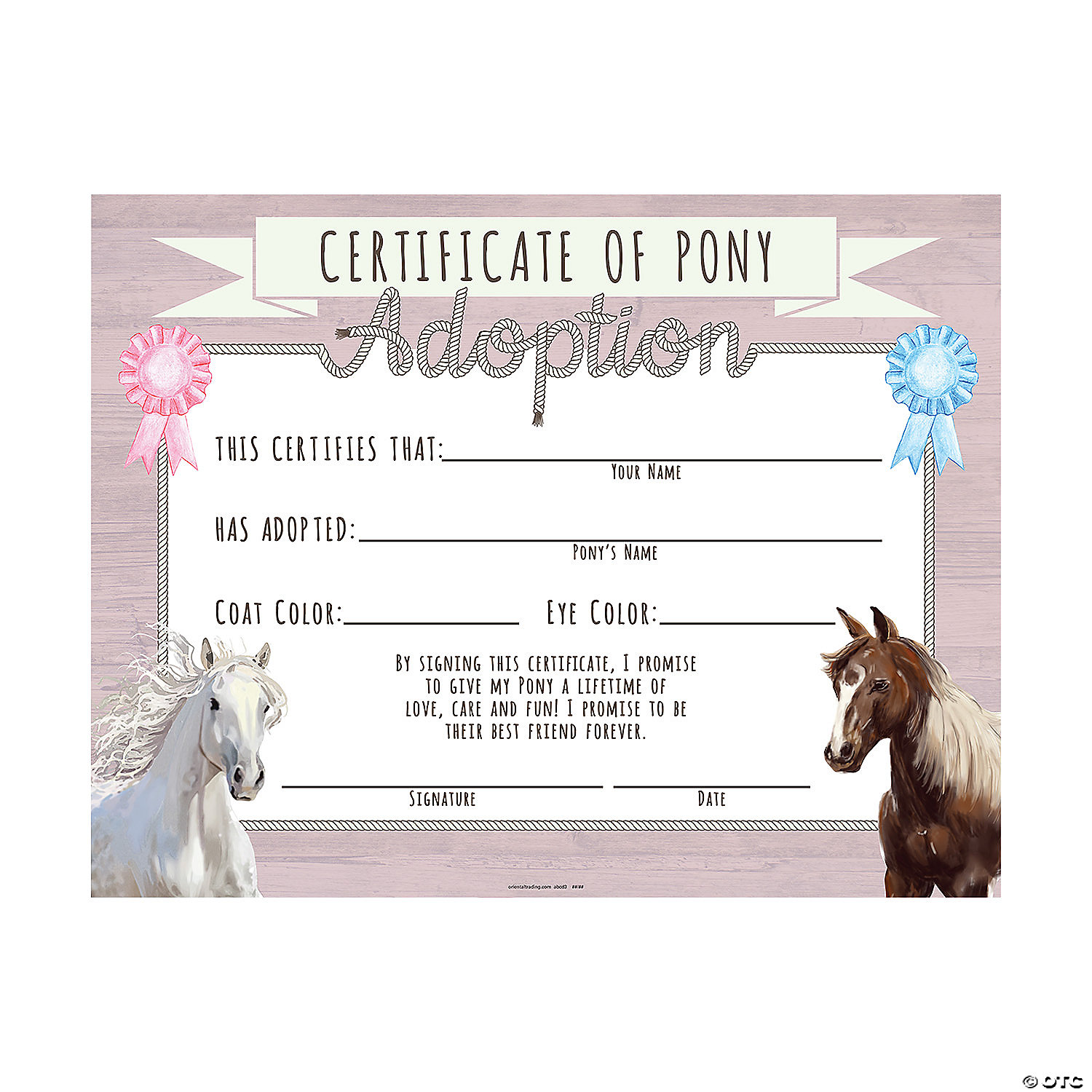 Pony Adoption Certificates - 20 Pc. Inside Toy Adoption Certificate Template