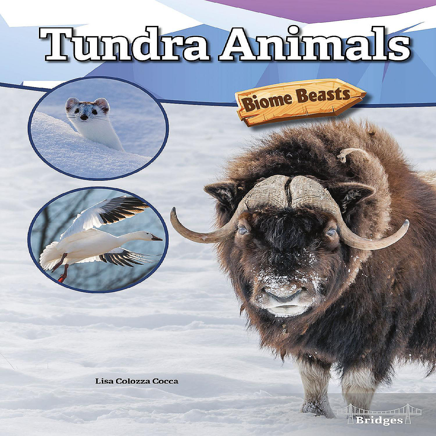 Rourke Educational Media Tundra Animals | Oriental Trading