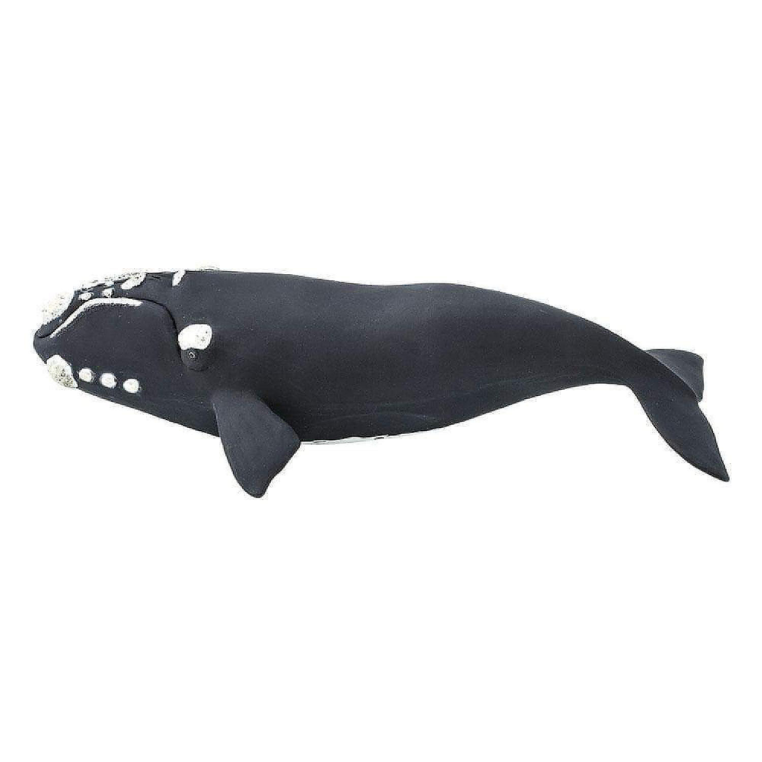 Safari Right Whale Toy | Oriental Trading